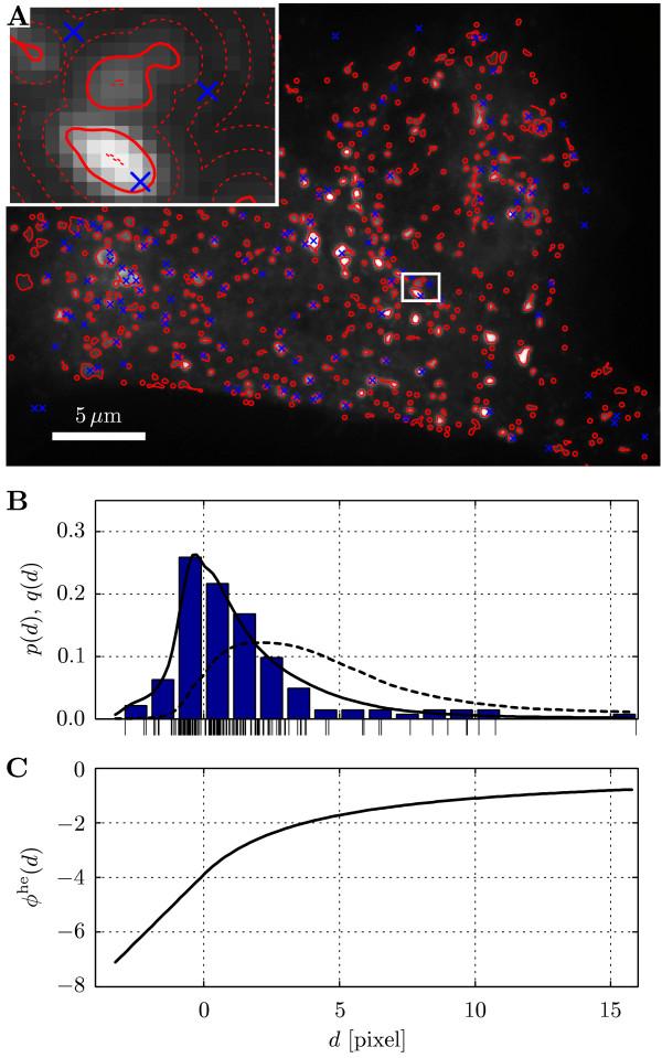 https://cdn.ncbi.nlm.nih.gov/pmc/blobs/12c1/2919515/fe594241bda4/1471-2105-11-372-5.jpg