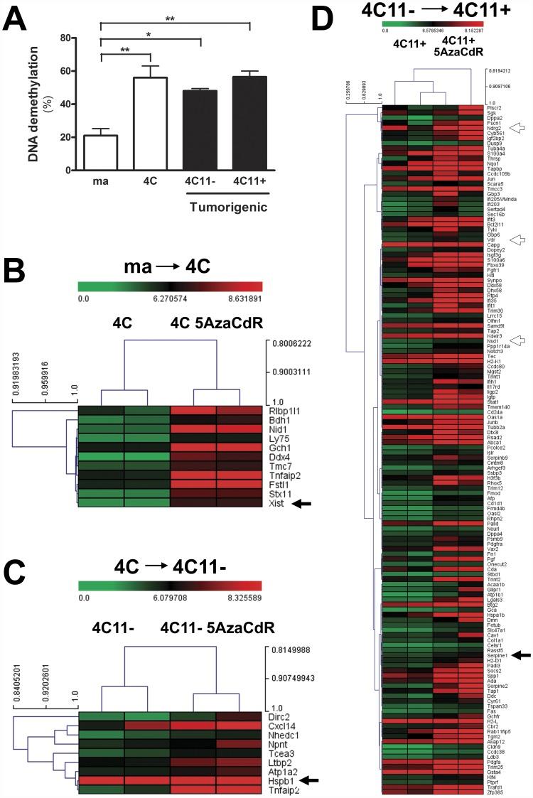 https://cdn.ncbi.nlm.nih.gov/pmc/blobs/12c5/3439384/5a4d12870567/pone.0044800.g003.jpg