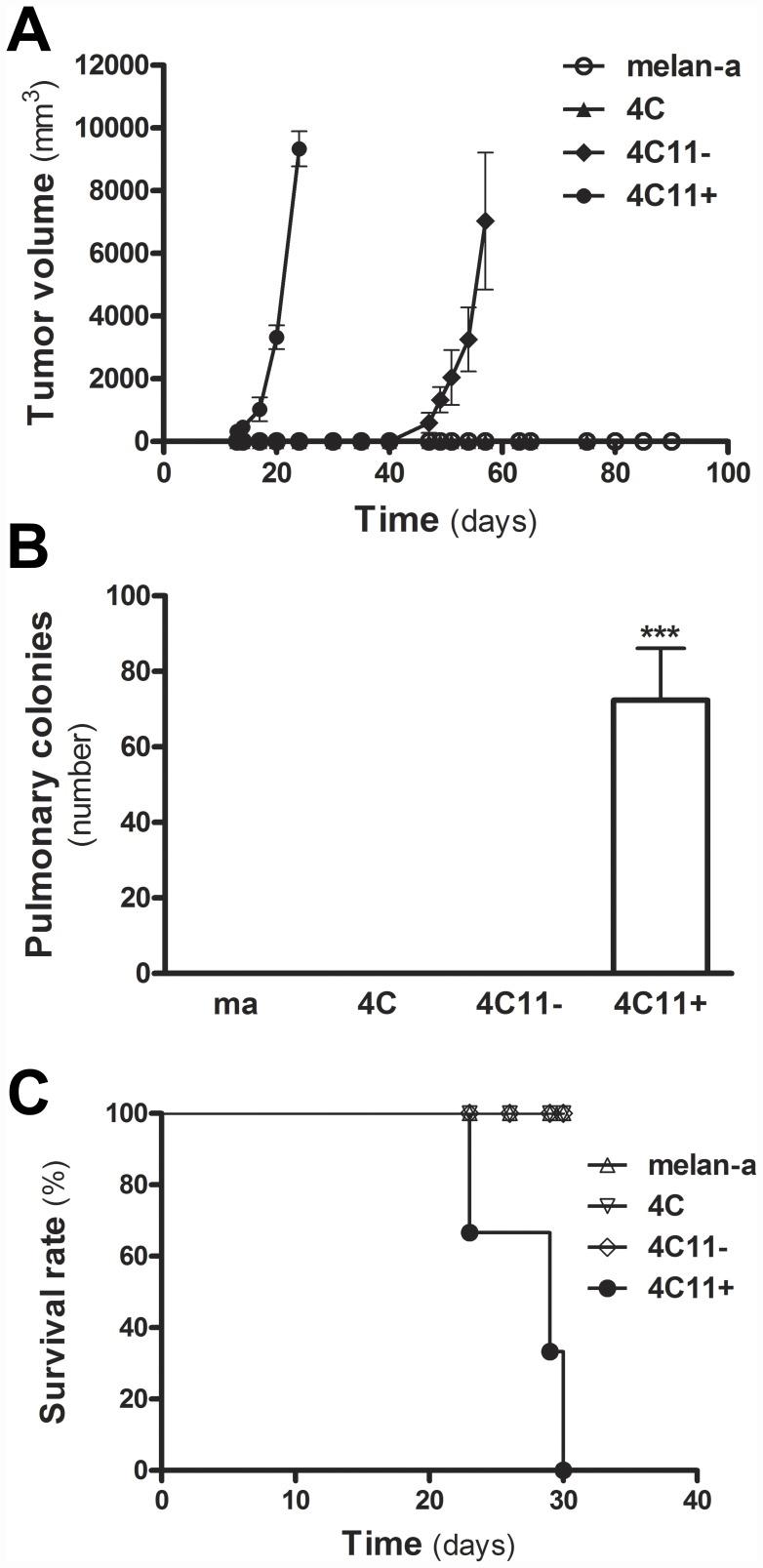https://cdn.ncbi.nlm.nih.gov/pmc/blobs/12c5/3439384/7a1e96f85fd9/pone.0044800.g001.jpg