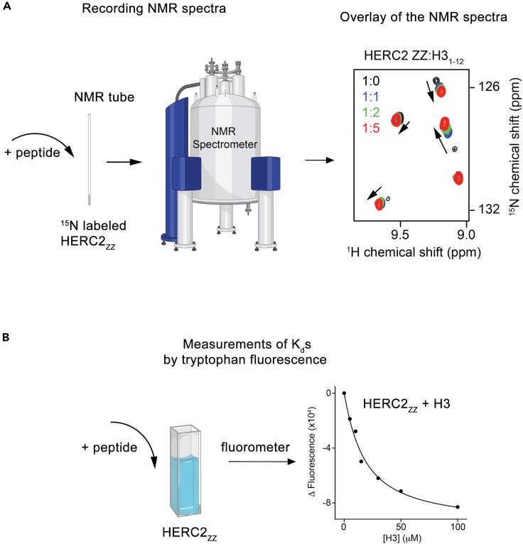 https://cdn.ncbi.nlm.nih.gov/pmc/blobs/12c5/7757301/959174bb0f4e/gr3.jpg