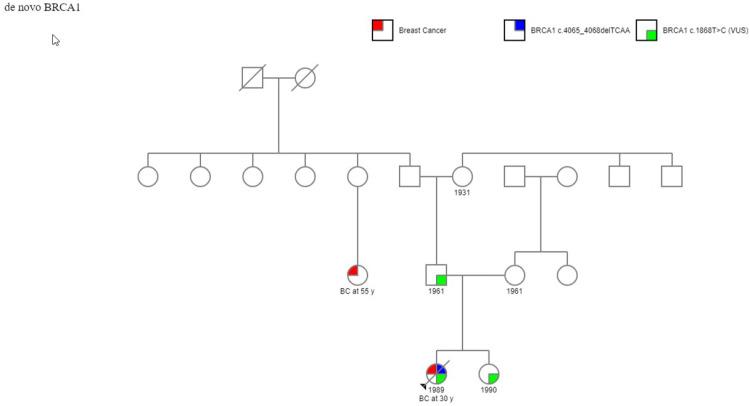 https://cdn.ncbi.nlm.nih.gov/pmc/blobs/12c7/10184889/d5119ac09ff2/TACG-16-83-g0001.jpg