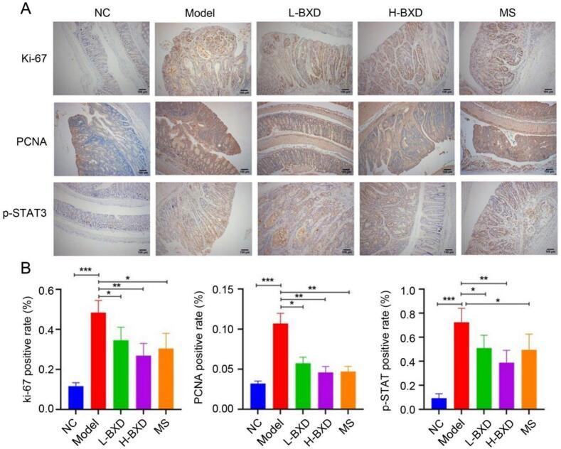 https://cdn.ncbi.nlm.nih.gov/pmc/blobs/12c8/12009064/2042a7f7bcdf/gr4.jpg