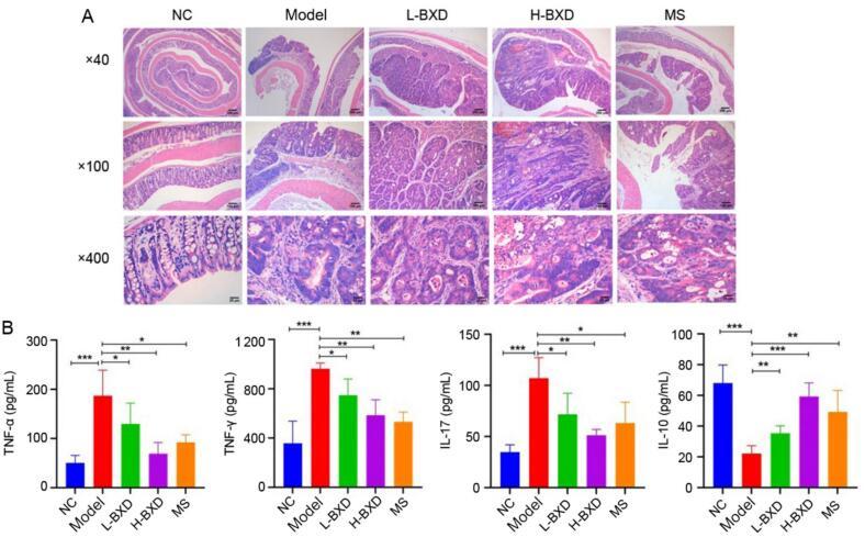 https://cdn.ncbi.nlm.nih.gov/pmc/blobs/12c8/12009064/e5b0cf3338c7/gr3.jpg