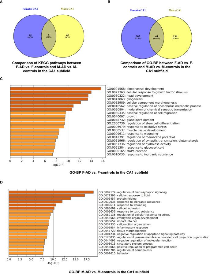https://cdn.ncbi.nlm.nih.gov/pmc/blobs/12ca/11058985/191a1e83b4a2/fendo-15-1345498-g004.jpg