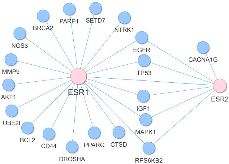 https://cdn.ncbi.nlm.nih.gov/pmc/blobs/12ca/11058985/886a526c60de/fendo-15-1345498-g011.jpg