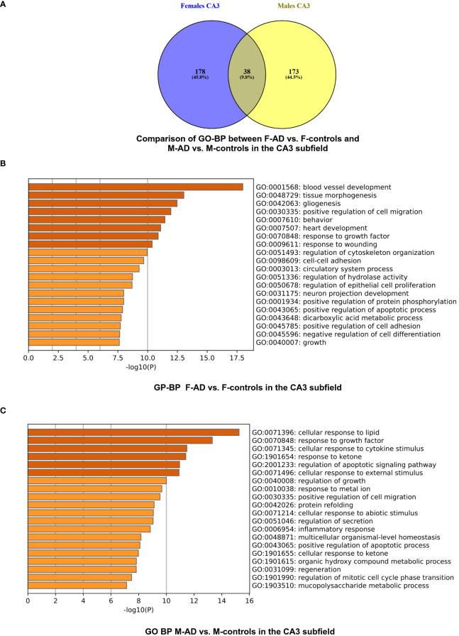 https://cdn.ncbi.nlm.nih.gov/pmc/blobs/12ca/11058985/ebc726101b7a/fendo-15-1345498-g006.jpg