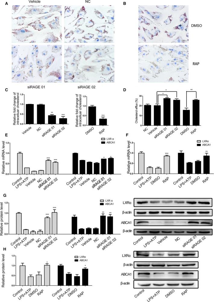 https://cdn.ncbi.nlm.nih.gov/pmc/blobs/12cb/6404867/0903e4dd792c/JAH3-7-e008596-g005.jpg