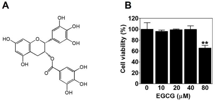 https://cdn.ncbi.nlm.nih.gov/pmc/blobs/12cc/7013924/49d68d7c0516/ijms-21-00439-g001.jpg