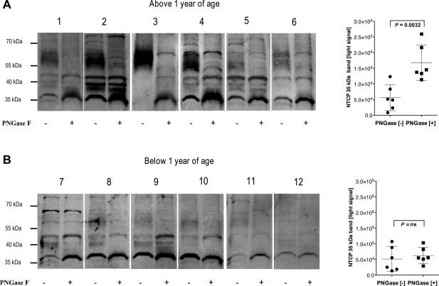 https://cdn.ncbi.nlm.nih.gov/pmc/blobs/12cd/5983131/400feb5ff4ef/HEP4-2-693-g003.jpg