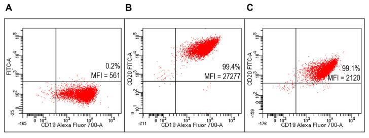 https://cdn.ncbi.nlm.nih.gov/pmc/blobs/12ce/8745767/de0bc7e665e9/ijms-23-00408-g005.jpg