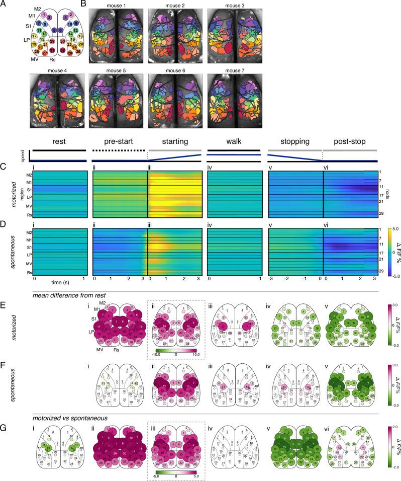 https://cdn.ncbi.nlm.nih.gov/pmc/blobs/12cf/11379880/4e95af3cc2f2/41467_2024_51816_Fig2_HTML.jpg