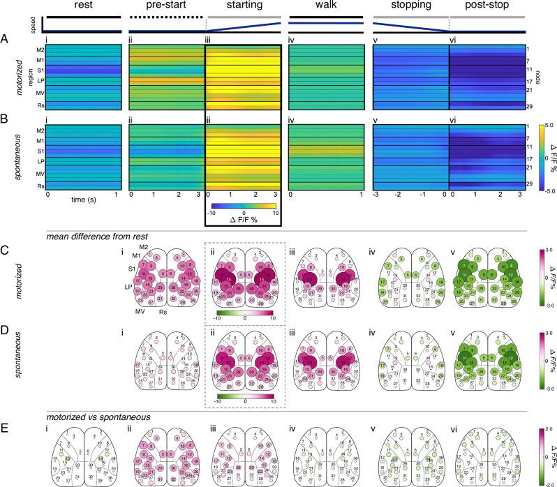 https://cdn.ncbi.nlm.nih.gov/pmc/blobs/12cf/11379880/57f49afbd0e9/41467_2024_51816_Fig4_HTML.jpg