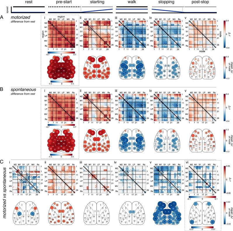 https://cdn.ncbi.nlm.nih.gov/pmc/blobs/12cf/11379880/7ccc373b314d/41467_2024_51816_Fig5_HTML.jpg