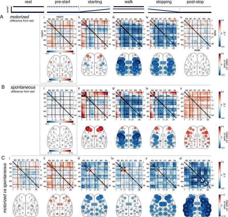 https://cdn.ncbi.nlm.nih.gov/pmc/blobs/12cf/11379880/a9443c98c2c3/41467_2024_51816_Fig3_HTML.jpg