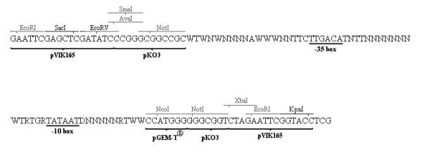 https://cdn.ncbi.nlm.nih.gov/pmc/blobs/12cf/1913913/69248678e90b/1472-6750-7-34-2.jpg