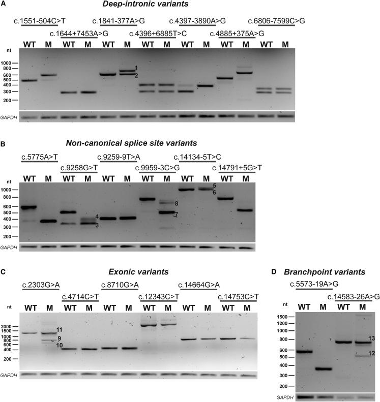 https://cdn.ncbi.nlm.nih.gov/pmc/blobs/12d1/9918427/40c2c7a6c66e/gr2.jpg