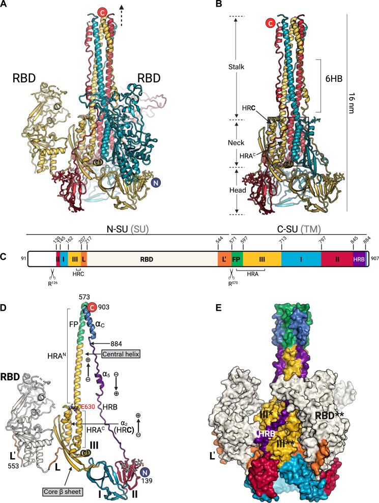 https://cdn.ncbi.nlm.nih.gov/pmc/blobs/12d6/11468914/79154756134a/sciadv.ado7035-f1.jpg