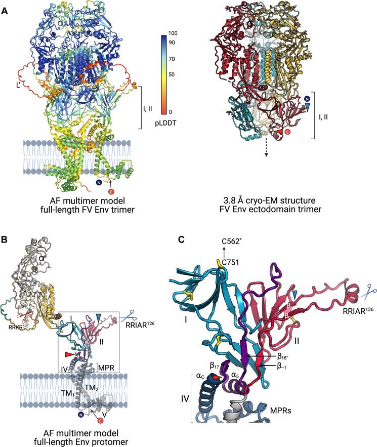 https://cdn.ncbi.nlm.nih.gov/pmc/blobs/12d6/11468914/c0bb6817feb9/sciadv.ado7035-f3.jpg