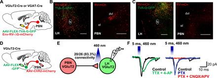 https://cdn.ncbi.nlm.nih.gov/pmc/blobs/12d7/8104871/65e42837aec2/abe4323-F5.jpg