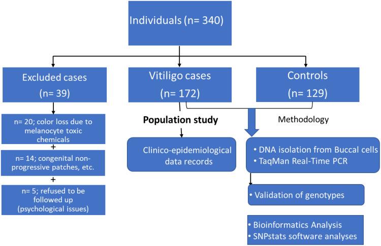 https://cdn.ncbi.nlm.nih.gov/pmc/blobs/12d7/8702990/c11f8095e22c/IJGM-14-10031-g0001.jpg
