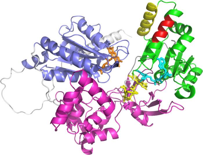 https://cdn.ncbi.nlm.nih.gov/pmc/blobs/12d8/11265716/0508ec58888a/ppat.1012382.g006.jpg