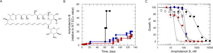 https://cdn.ncbi.nlm.nih.gov/pmc/blobs/12d8/11265716/9b8d421b1f07/ppat.1012382.g002.jpg