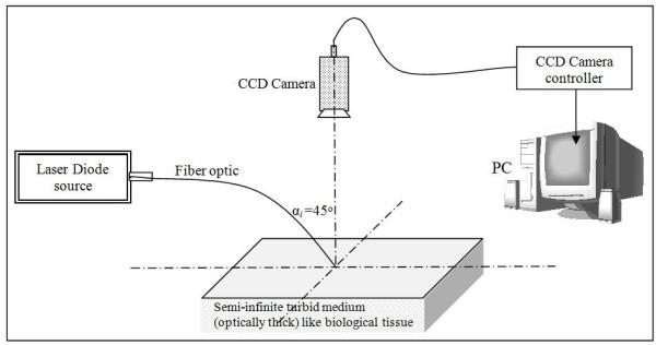 https://cdn.ncbi.nlm.nih.gov/pmc/blobs/12d8/3564706/840d5d7d5e8d/1475-925X-11-88-5.jpg