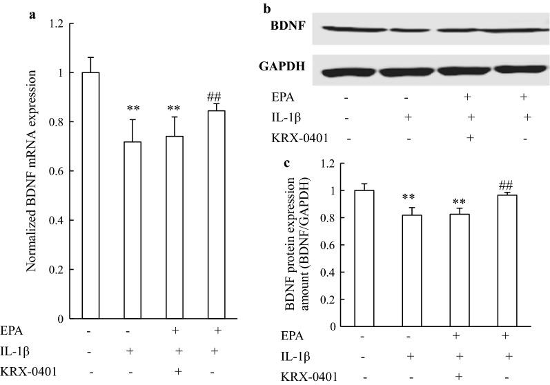 https://cdn.ncbi.nlm.nih.gov/pmc/blobs/12d8/6128001/916d2e7b20da/12868_2018_455_Fig4_HTML.jpg