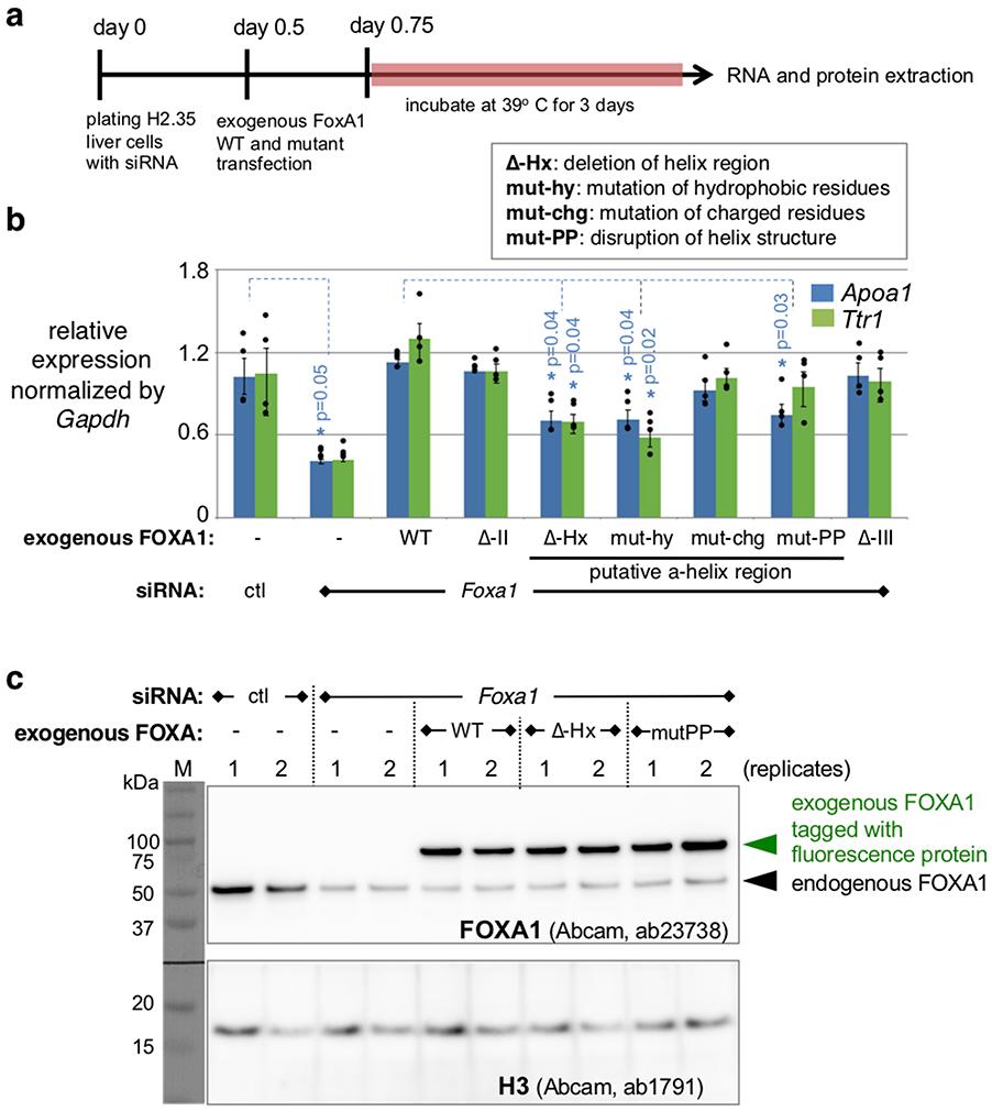 https://cdn.ncbi.nlm.nih.gov/pmc/blobs/12d8/7901023/343460e19e4f/nihms-1562321-f0009.jpg