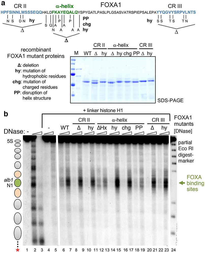 https://cdn.ncbi.nlm.nih.gov/pmc/blobs/12d8/7901023/71810b56d6b9/nihms-1562321-f0002.jpg