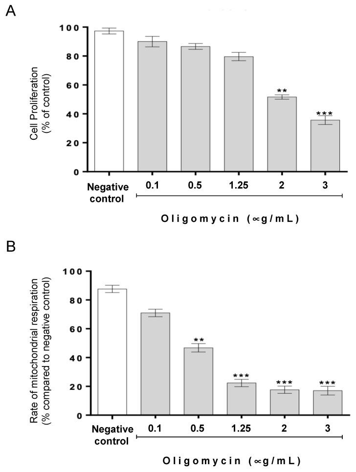 https://cdn.ncbi.nlm.nih.gov/pmc/blobs/12d9/11048611/4c410d7ebc50/biomolecules-14-00473-g001.jpg