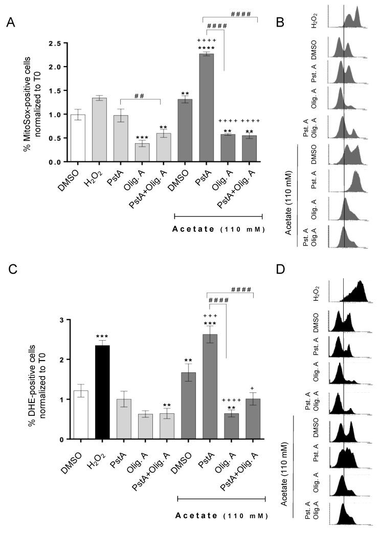 https://cdn.ncbi.nlm.nih.gov/pmc/blobs/12d9/11048611/704c06f29a19/biomolecules-14-00473-g004.jpg