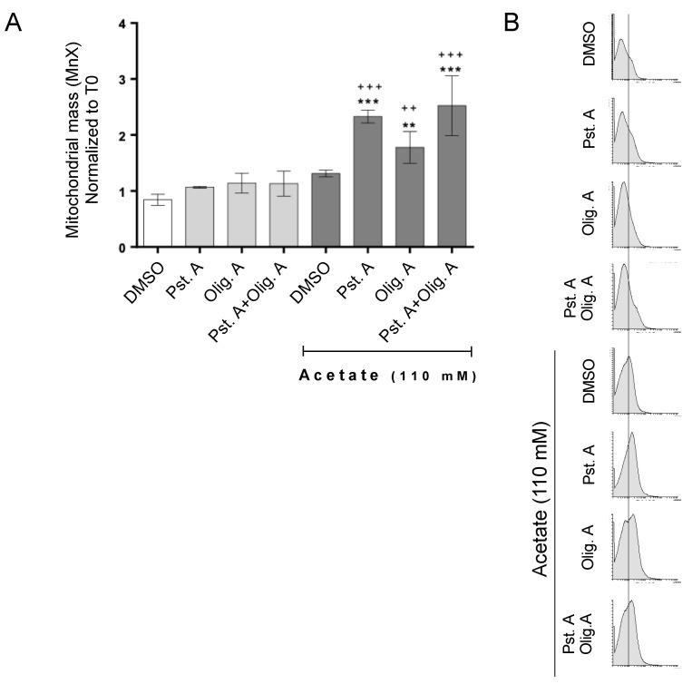 https://cdn.ncbi.nlm.nih.gov/pmc/blobs/12d9/11048611/a1e5ded92d88/biomolecules-14-00473-g003.jpg