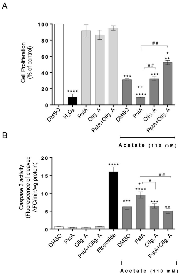 https://cdn.ncbi.nlm.nih.gov/pmc/blobs/12d9/11048611/b94c319de65f/biomolecules-14-00473-g002.jpg