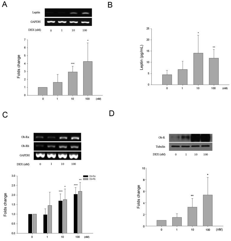 https://cdn.ncbi.nlm.nih.gov/pmc/blobs/12da/5859774/b102194a9681/ijmsv15p0507g003.jpg