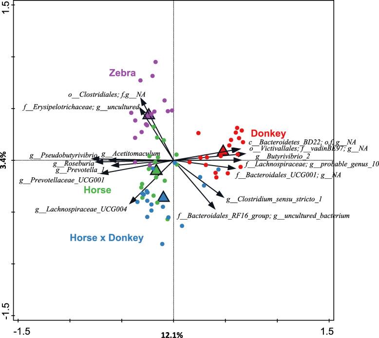 https://cdn.ncbi.nlm.nih.gov/pmc/blobs/12da/7807809/d09b25ba7e99/42523_2020_23_Fig3_HTML.jpg