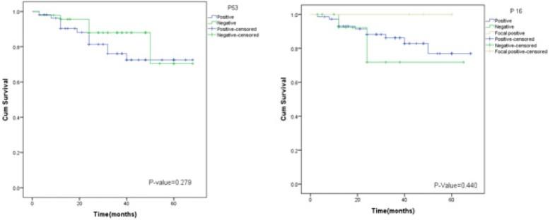 https://cdn.ncbi.nlm.nih.gov/pmc/blobs/12db/6171321/530313163f80/12907_2018_77_Fig2_HTML.jpg