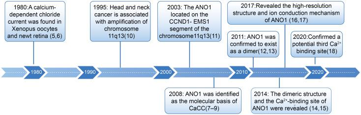 https://cdn.ncbi.nlm.nih.gov/pmc/blobs/12dd/12067801/4671bd26c886/fimmu-16-1570333-g001.jpg