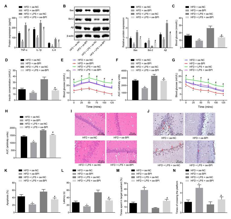 https://cdn.ncbi.nlm.nih.gov/pmc/blobs/12df/7905103/94c5c59133cb/fphys-11-00718-g004.jpg