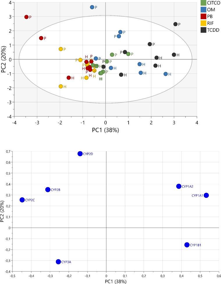 https://cdn.ncbi.nlm.nih.gov/pmc/blobs/12df/8320632/fdd33e327a3e/gr6.jpg