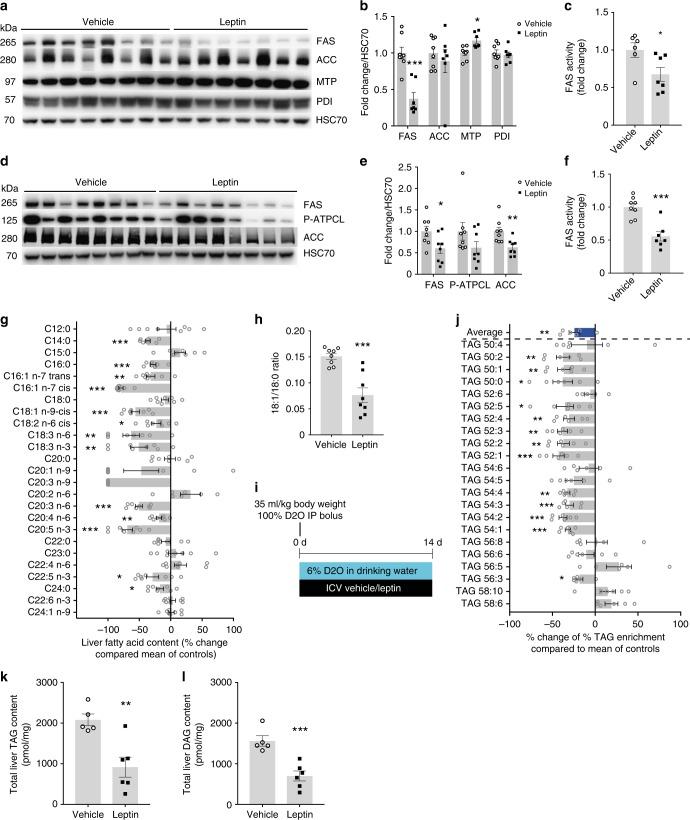 https://cdn.ncbi.nlm.nih.gov/pmc/blobs/12e2/6586634/1e070af201be/41467_2019_10684_Fig3_HTML.jpg