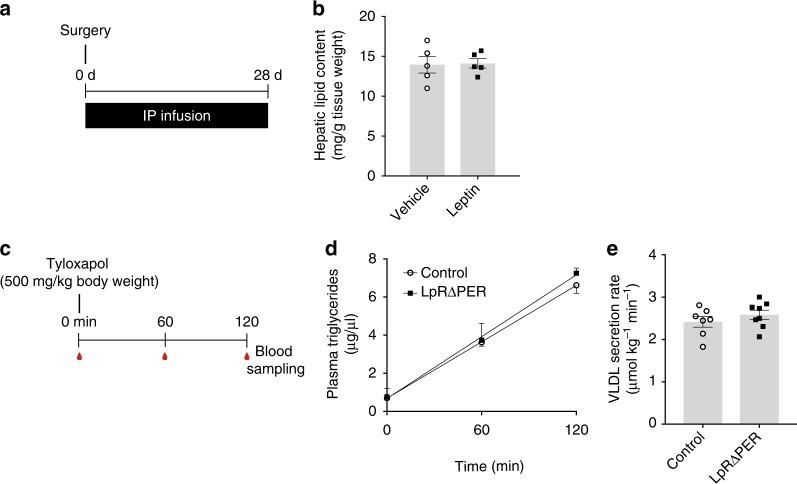https://cdn.ncbi.nlm.nih.gov/pmc/blobs/12e2/6586634/1f16e2bcb1b5/41467_2019_10684_Fig2_HTML.jpg