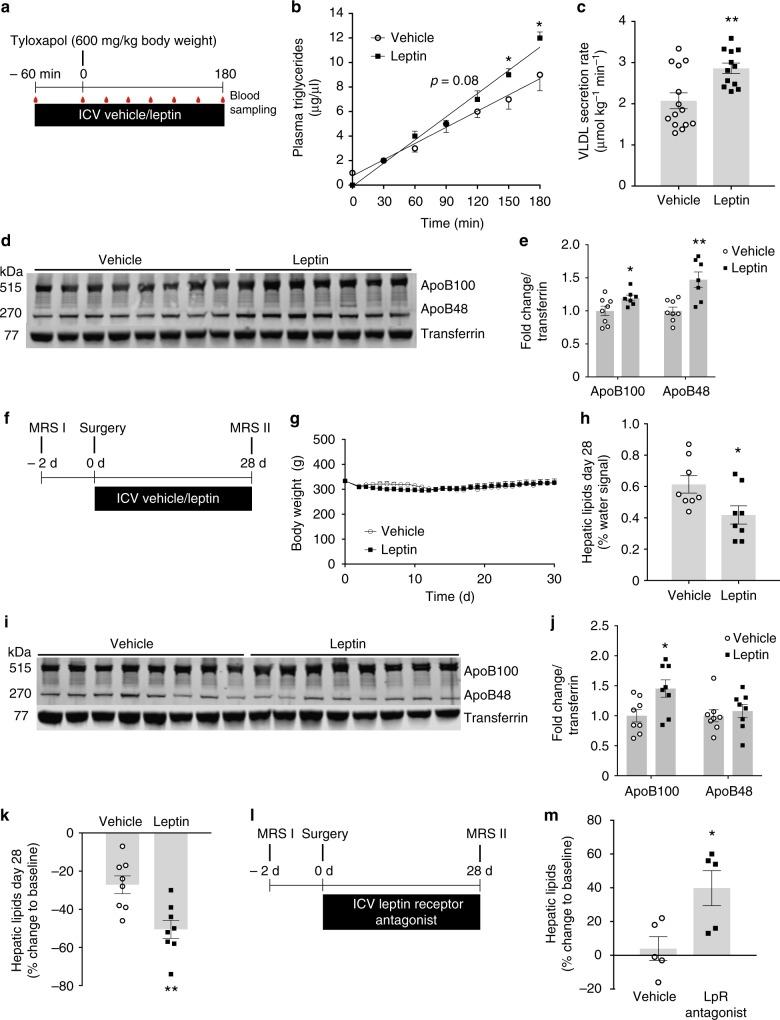 https://cdn.ncbi.nlm.nih.gov/pmc/blobs/12e2/6586634/e8b47c35adf9/41467_2019_10684_Fig1_HTML.jpg