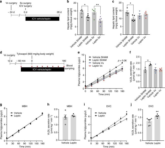 https://cdn.ncbi.nlm.nih.gov/pmc/blobs/12e2/6586634/ea5cd0442dc6/41467_2019_10684_Fig4_HTML.jpg