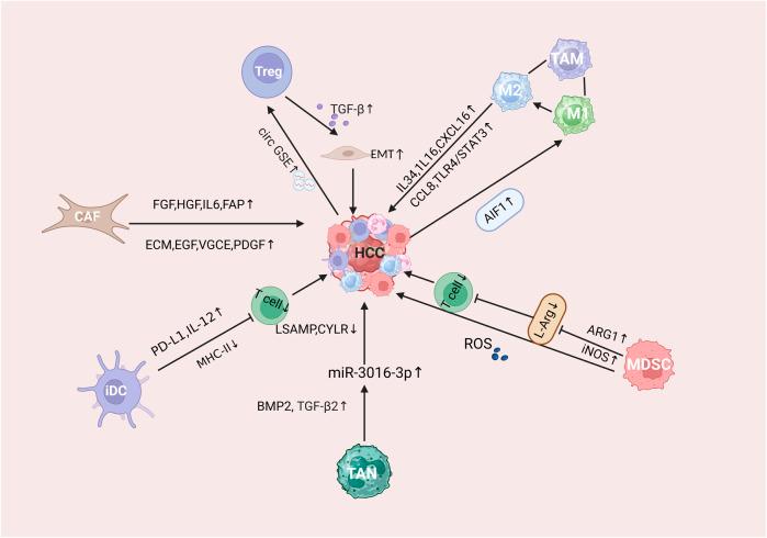 https://cdn.ncbi.nlm.nih.gov/pmc/blobs/12e3/11637861/6b2c34138b92/fphar-15-1438819-g001.jpg