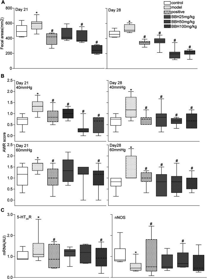 https://cdn.ncbi.nlm.nih.gov/pmc/blobs/12e3/8476869/15a3be9302df/fphar-12-596686-g004.jpg