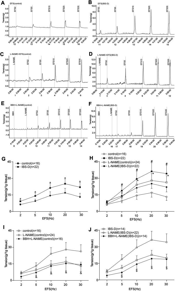 https://cdn.ncbi.nlm.nih.gov/pmc/blobs/12e3/8476869/3656e9b90d23/fphar-12-596686-g007.jpg