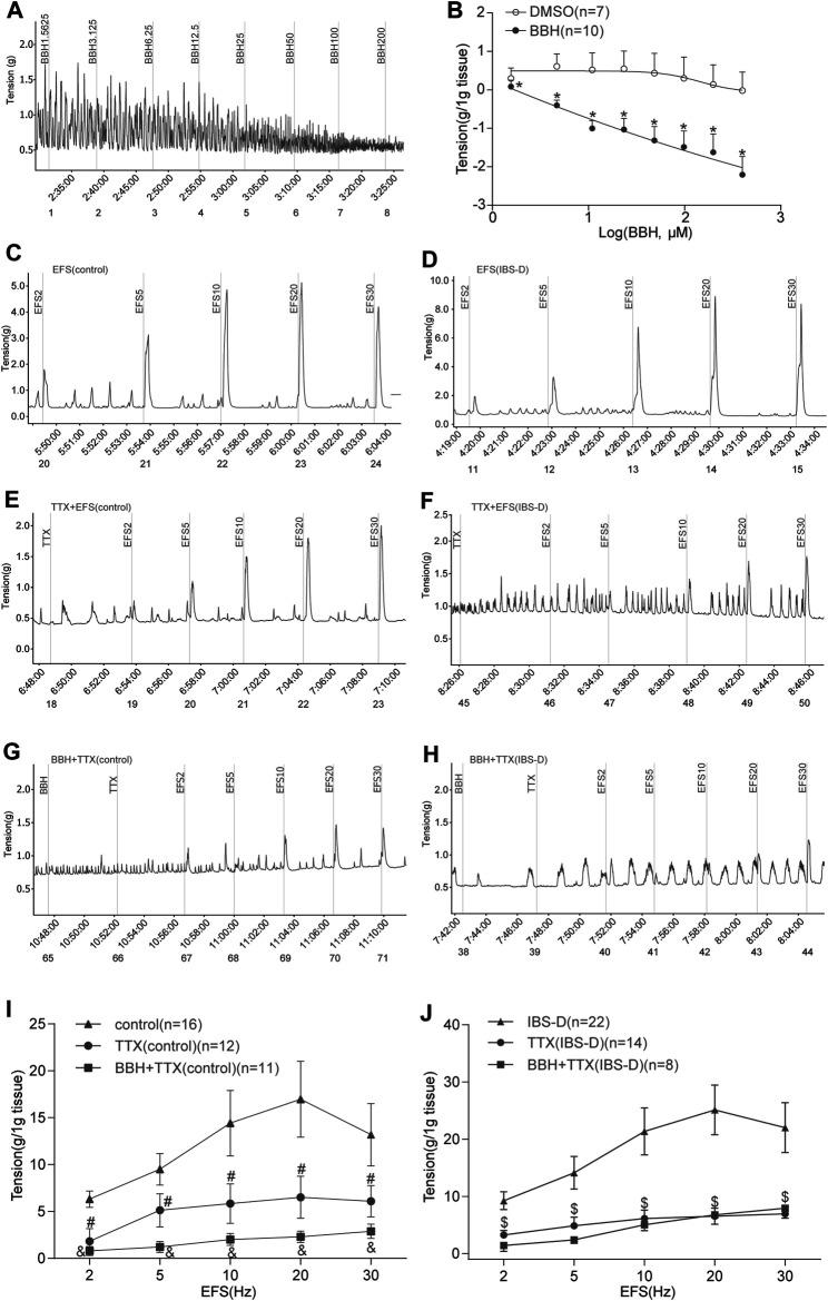 https://cdn.ncbi.nlm.nih.gov/pmc/blobs/12e3/8476869/6b277201a891/fphar-12-596686-g005.jpg
