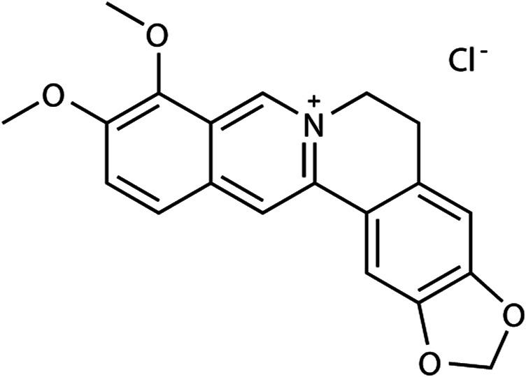 https://cdn.ncbi.nlm.nih.gov/pmc/blobs/12e3/8476869/96412ad99af2/fphar-12-596686-g001.jpg