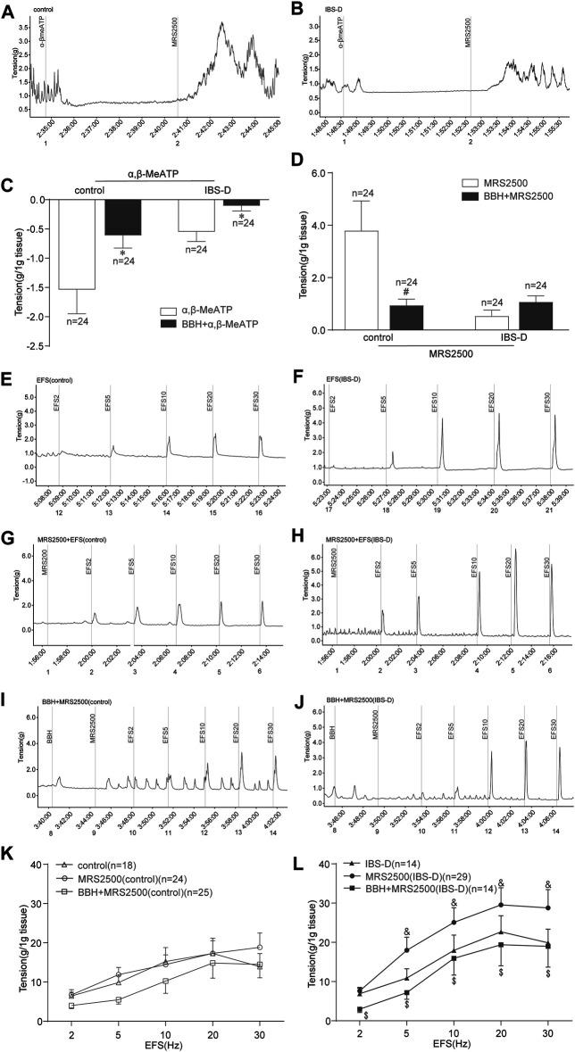 https://cdn.ncbi.nlm.nih.gov/pmc/blobs/12e3/8476869/f15bfe15fd0d/fphar-12-596686-g008.jpg